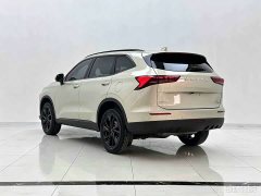 Haval H6 2.0T AWD Max - ფოტო 5