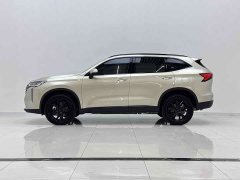 Haval H6 2.0T AWD Max - ფოტო 7