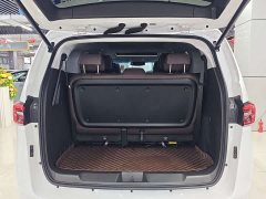 Buick GL8 Land Executive Cabin 652T Luxury - ფოტო 16
