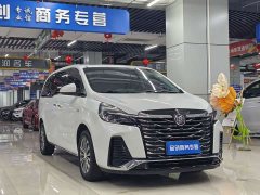 Buick GL8 Land Executive Cabin 652T Luxury - ფოტო 3
