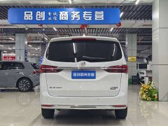 Buick GL8 Land Executive Cabin 652T Luxury - ფოტო 8