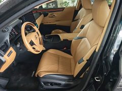 Lexus ES 300h Executive Edition - ფოტო 14