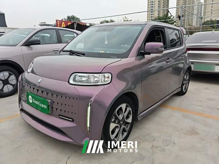 ORA White Cat Little Wildcat 360km Luxury Ternary Lithium - car from China