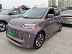 ORA White Cat Little Wildcat 360km Luxury Ternary Lithium - photo 1