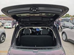 ORA White Cat Little Wildcat 360km Luxury Ternary Lithium - photo 18