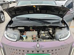 ORA White Cat Little Wildcat 360km Luxury Ternary Lithium - photo 19