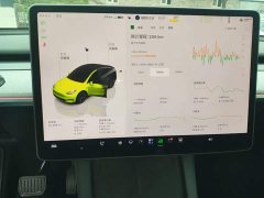 Tesla Model Y Rear-Wheel Drive - ფოტო 11