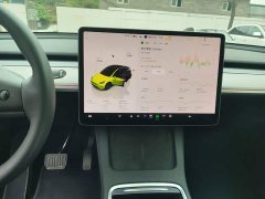 Tesla Model Y Rear-Wheel Drive - ფოტო 12