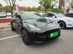 Tesla Model Y Rear-Wheel Drive - ფოტო 3