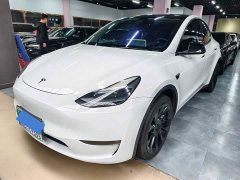 Tesla Model Y Facelift Long Range All-Wheel Drive 3D5 - ფოტო 1