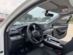 Geely Xingrui 2.0T Diesel Luxury - фото 11