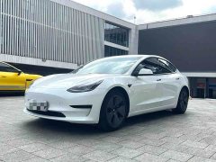 Tesla Model 3 Standard Range RWD Upgrade - ფოტო 1