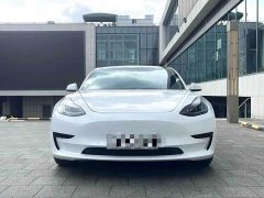 Tesla Model 3 Standard Range RWD Upgrade - ფოტო 2