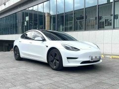 Tesla Model 3 Standard Range RWD Upgrade - ფოტო 3