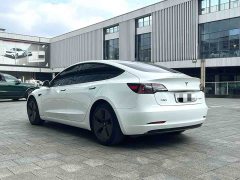 Tesla Model 3 Standard Range RWD Upgrade - ფოტო 9