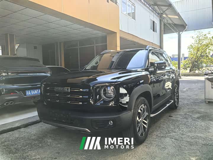 Great Wall Dachshund 1.5T DCT Two-Wheel Drive Border Collie Edition - ავტომობილი ჩინეთიდან