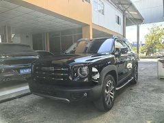 Great Wall Dachshund 1.5T DCT Two-Wheel Drive Border Collie Edition - ფოტო 1