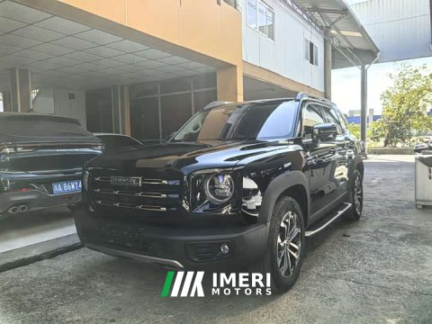 2023 Great Wall Dachshund 1.5T DCT Two-Wheel Drive Border Collie Edition - ავტომობილი ჩინეთიდან