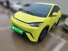 BYD Seagull Flying Edition - ფოტო 1