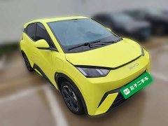 BYD Seagull Flying Edition - ფოტო 5
