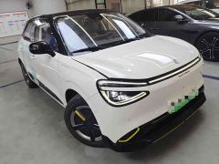 Dongfeng 01 Edition WE Edition - фото 2