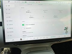 Xpeng Xiaopeng MONA M03 620 Extended Range - ფოტო 11