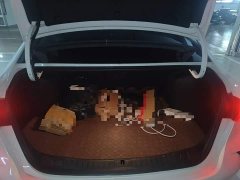 Buick Verano Pro GS Hunting Wind Edition - ფოტო 15