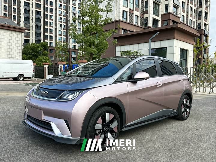 BYD Dolphin 520km Knight Edition - автомобиль из Китая