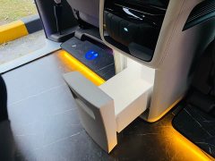 Denza D9 DM-i 970 AWD Premium Edition - фото 16