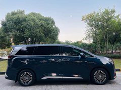 Denza D9 DM-i 970 AWD Premium Edition - фото 7
