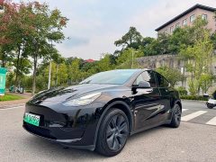 Tesla Model Y Rear-Wheel Drive - ფოტო 1