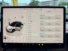 Tesla Model Y Rear-Wheel Drive - ფოტო 11