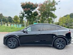 Tesla Model Y Rear-Wheel Drive - ფოტო 12