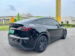 Tesla Model Y Rear-Wheel Drive - ფოტო 15