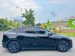 Tesla Model Y Rear-Wheel Drive - ფოტო 16