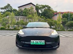 Tesla Model Y Rear-Wheel Drive - ფოტო 3