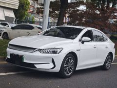 BYD Qin PLUS EV 500KM Luxury - photo 1