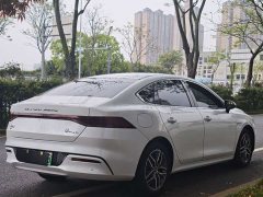 BYD Qin PLUS EV 500KM Luxury - photo 4