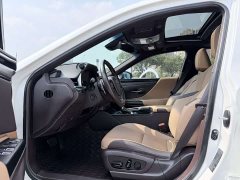 Lexus ES 300h Premium Edition - ფოტო 5