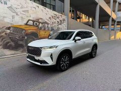 Haval H6 Third Generation 1.5T Automatic Two-Wheel Drive Pro - ფოტო 1