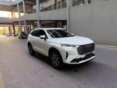 Haval H6 Third Generation 1.5T Automatic Two-Wheel Drive Pro - ფოტო 3