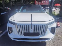FAW Red Flag E-HS9 690km Range Flagship Edition Six-Seater - photo 2