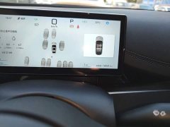 BYD Seal 06 DM-i Smart Drive Edition 80KM Luxury - фото 11