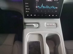 NIO EC6 75kWh - ფოტო 13