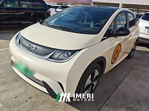2023 BYD Dolphin 420km Fashion Edition - car from China