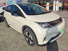 BYD Dolphin 420km Fashion Edition - ფოტო 3