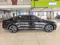 Volkswagen Magotan 30 Million Units Select Edition 380TSI DSG Luxury - фото 14