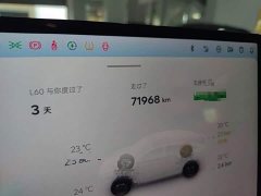 Nio Lerado L60 60kWh Rear-Wheel Drive - ფოტო 11