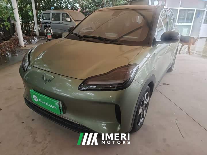 Wuling Binguo PLUS 510km Flagship Four-Seater - ავტომობილი ჩინეთიდან