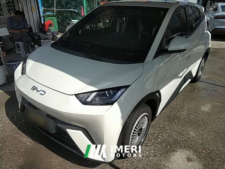 BYD Seagull Glory Edition 305km Vitality Version - ავტომობილი ჩინეთიდან